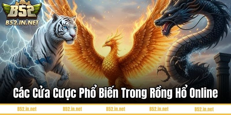 Các Cửa Cược Phổ Biến Trong Rồng Hổ Online